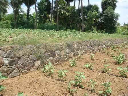 http://agritech.tnau.ac.in/agriculture/agri_watershed_watershedmgt_clip_image032_0000.webp