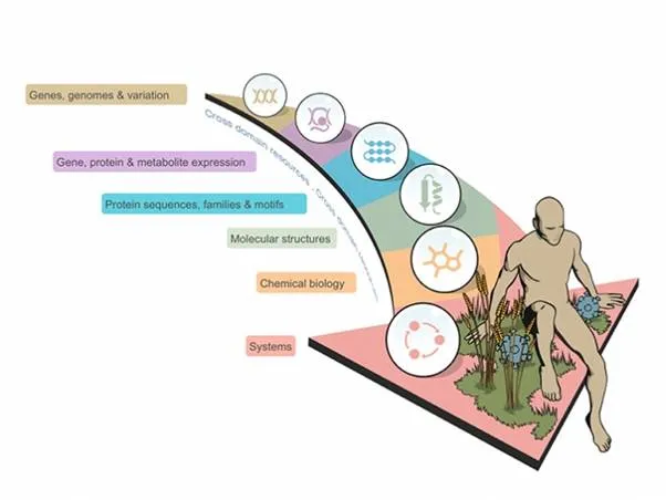 A broad overview of the different types of data that fall within the scope of bioinformatics