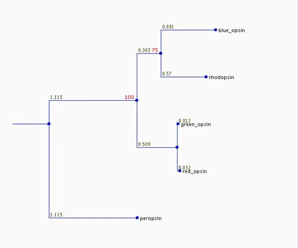 PhyML Tree