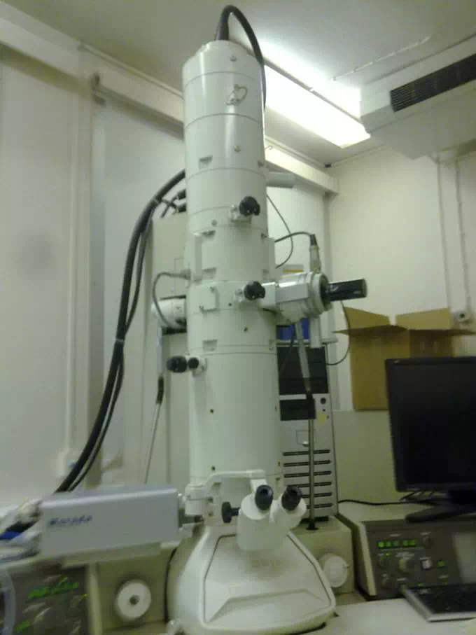 Transmission Electron Microscope