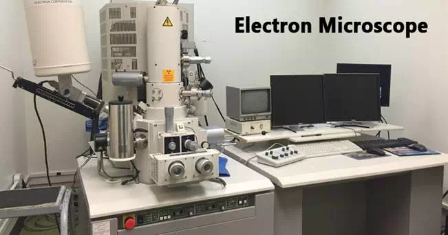 Electron Microscope