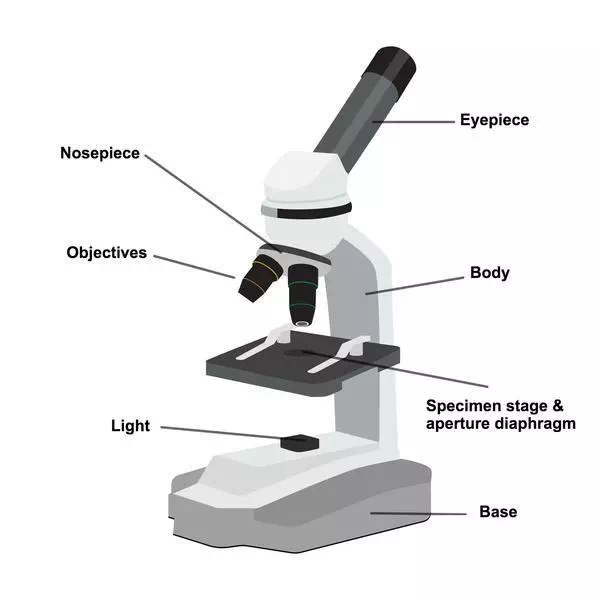 Simple Microscope