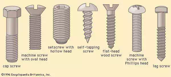 Screws and screw heads (A) Cap screw, (B) machine screw with oval head, (C) setscrew with hollow head, (D) self-tapping screw, (E) flat-head wood screw, (F) machine screw with Phillips head, (G) lag screw