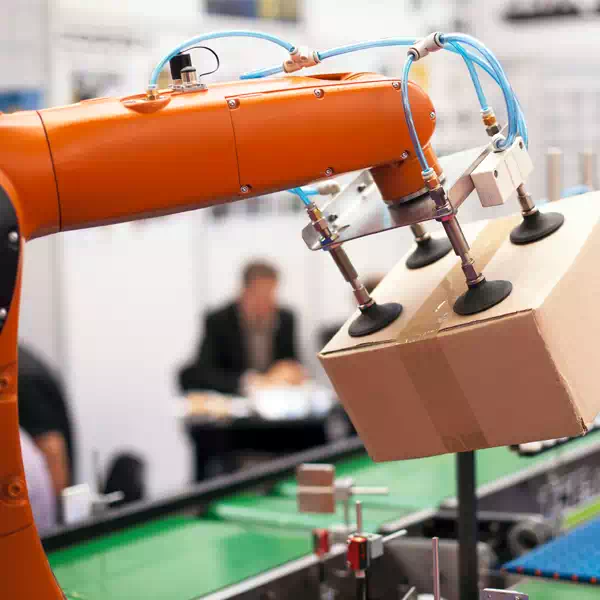 Packaging Robot