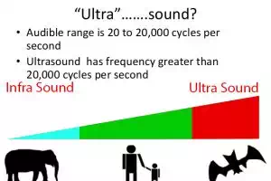 Ultrasonic in wet processing technology